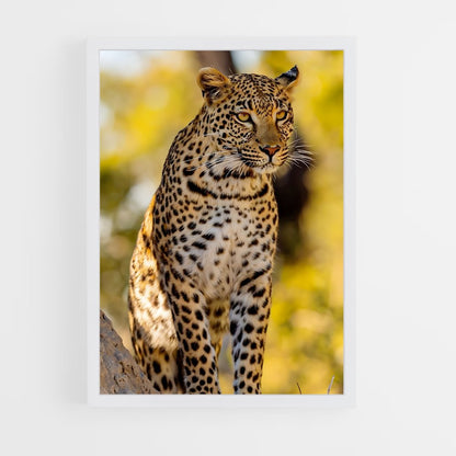 leopard-12 cadre Blanc