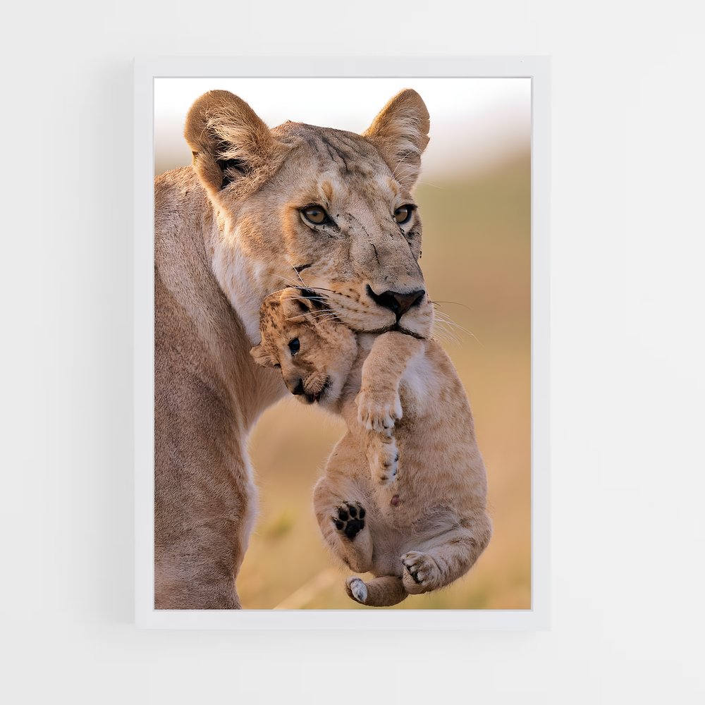 lion-1 cadre Blanc