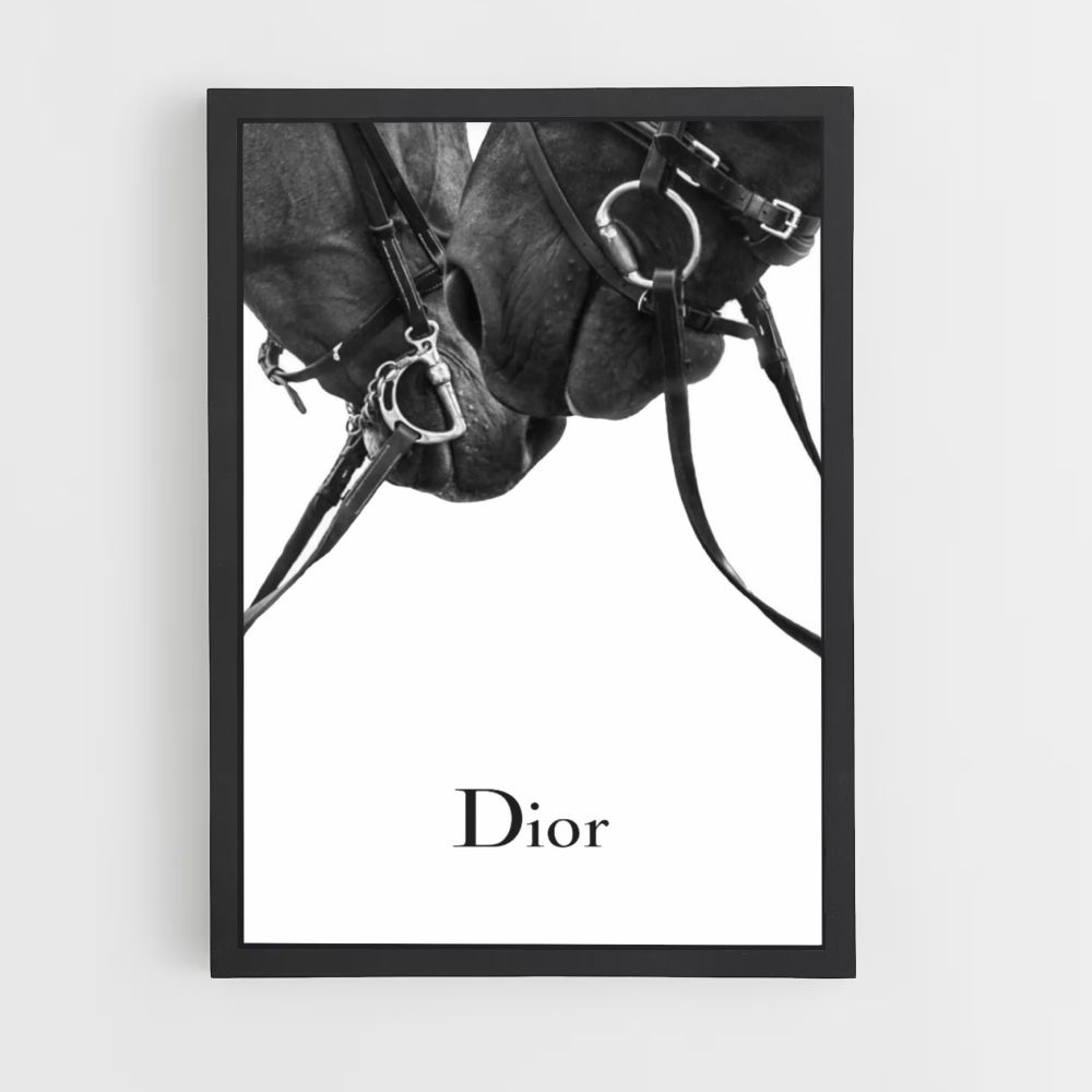 Poster Cavalli Dior