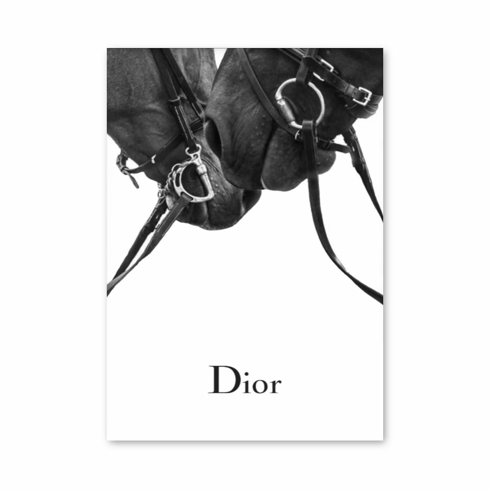 Poster Cavalli Dior