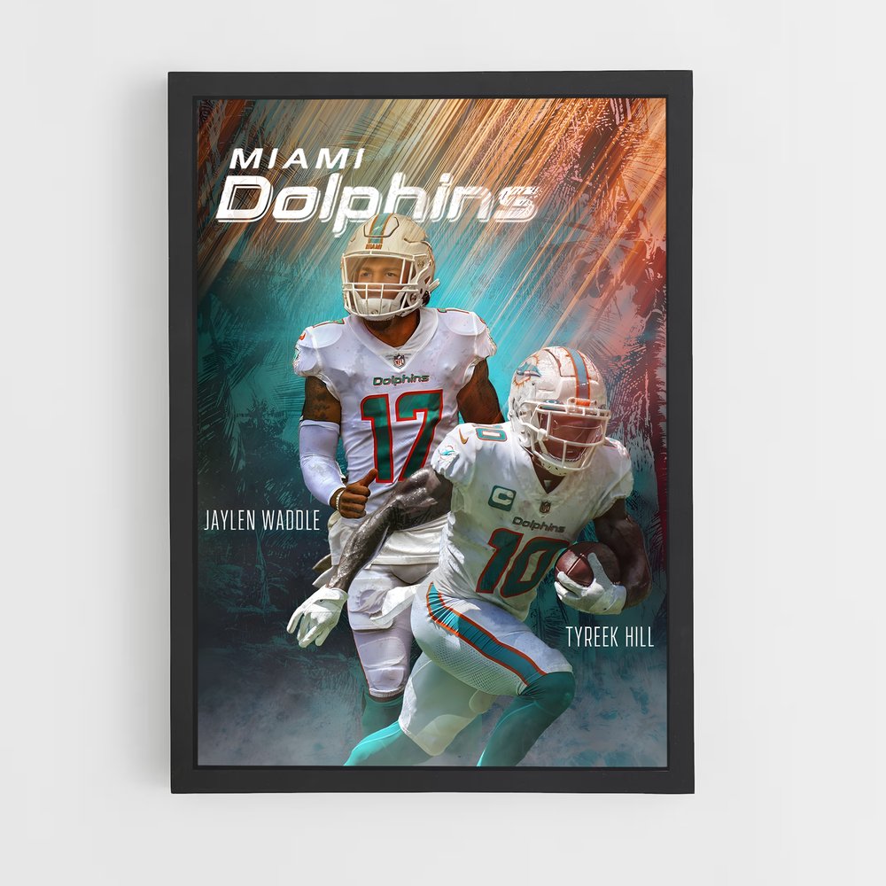 miami-dolphins-13 cadre Noir