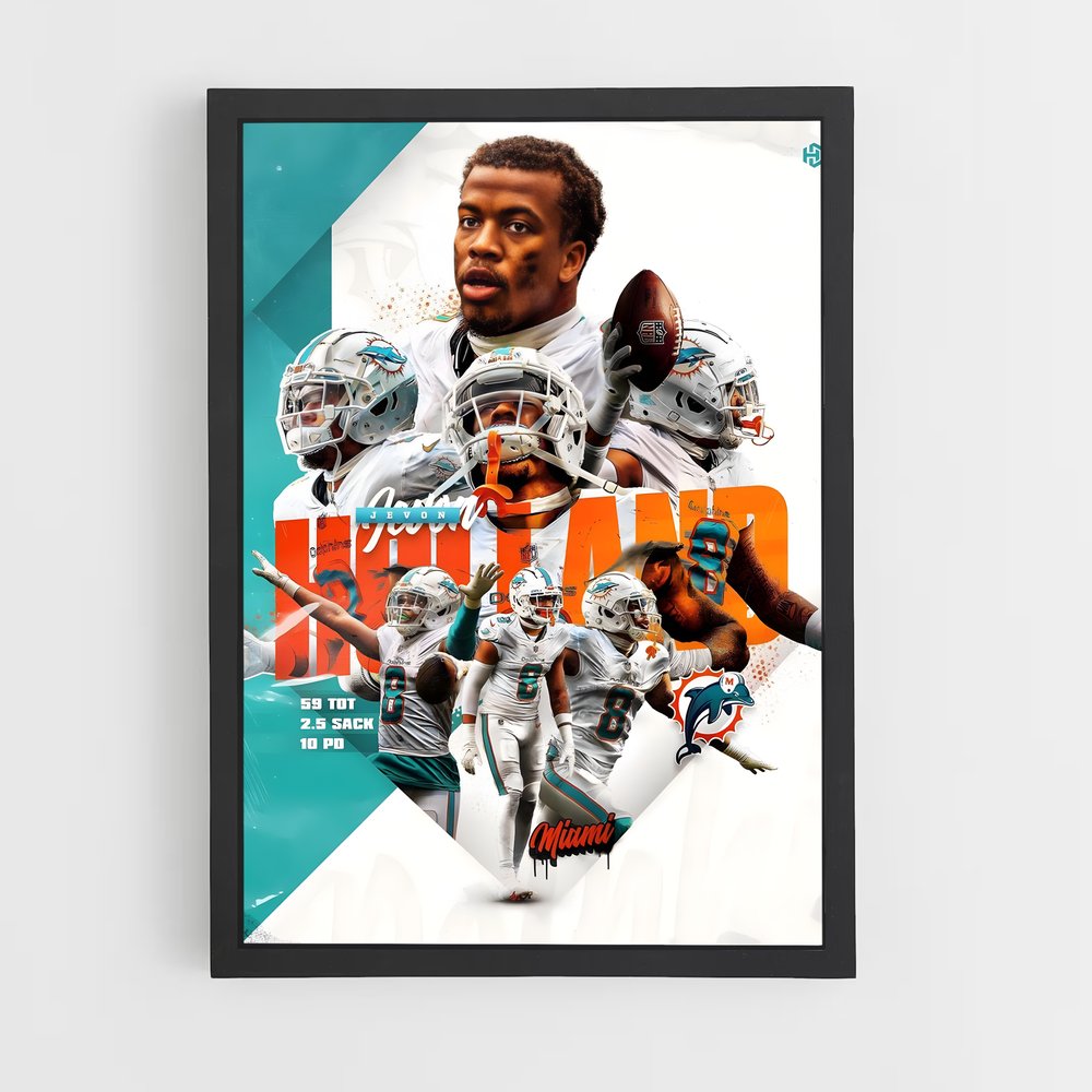 miami-dolphins-19 cadre Noir