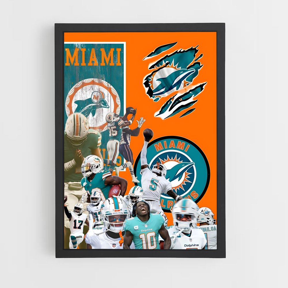 miami-dolphins-2 cadre Noir