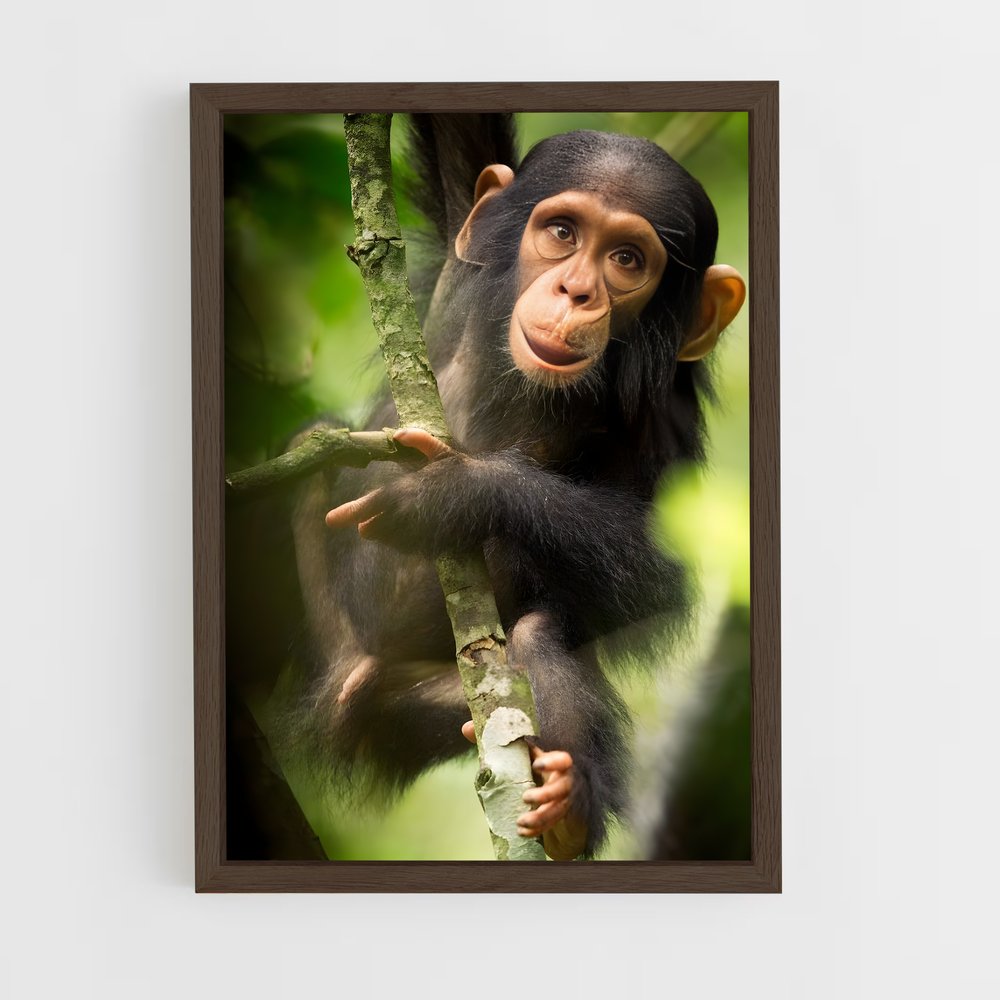 monkey-10 cadre Bois foncé