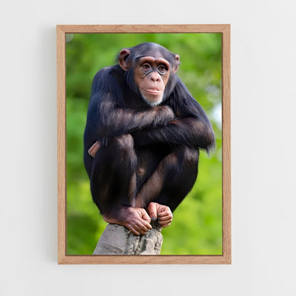 monkey-12 cadre Bois clair