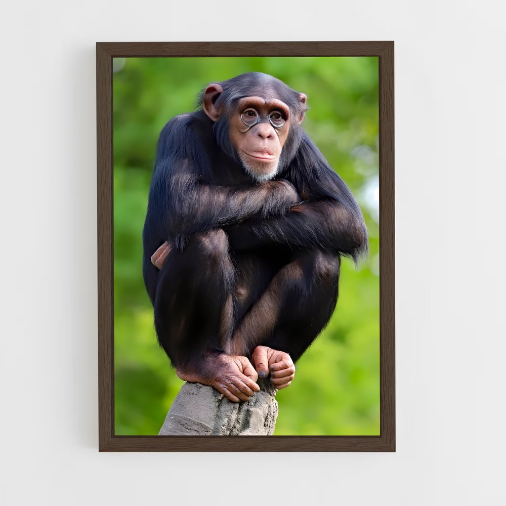 monkey-12 cadre Bois foncé