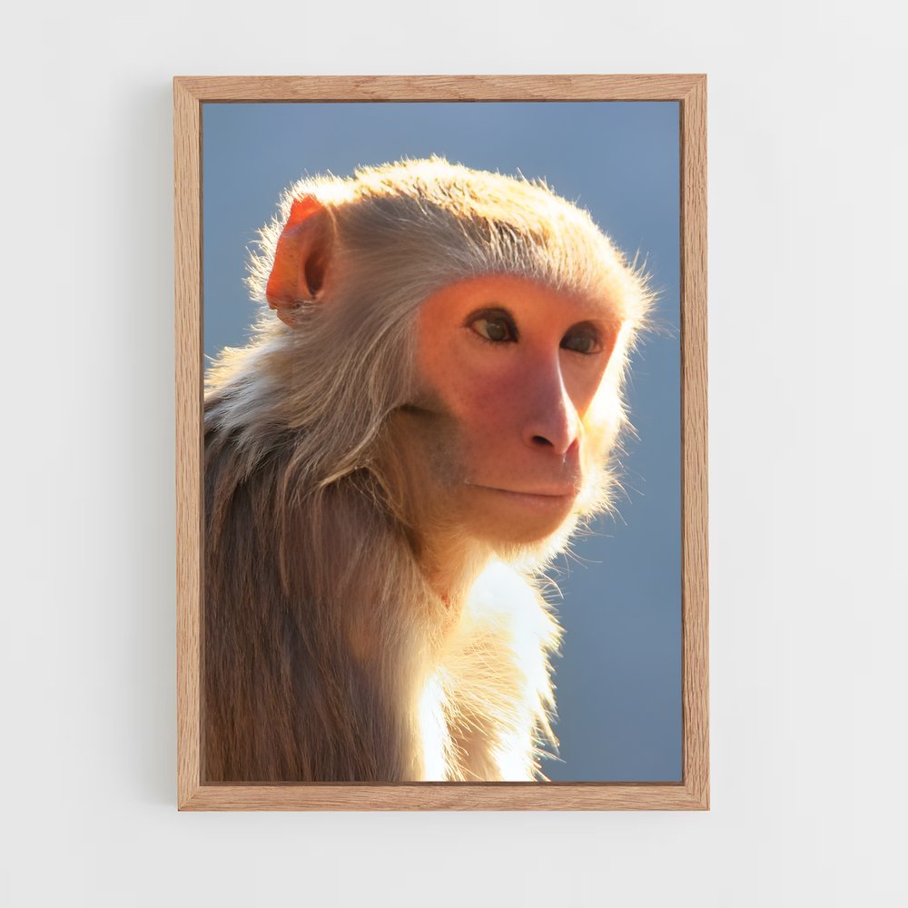 monkey-3 cadre Bois clair
