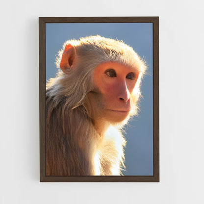 monkey-3 cadre Bois foncé