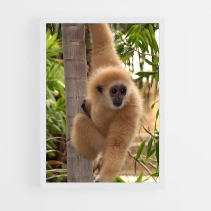 monkey-4 cadre Blanc