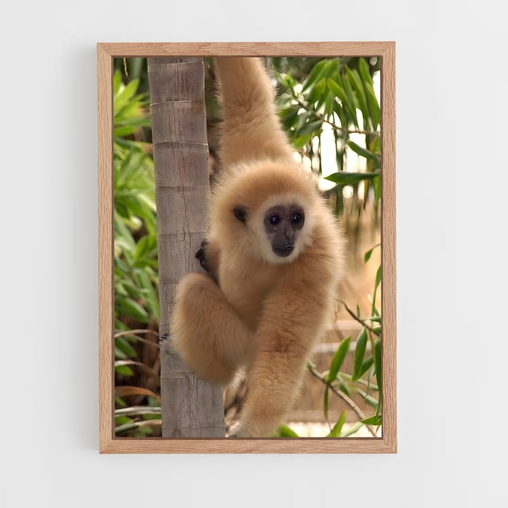 monkey-4 cadre Bois clair