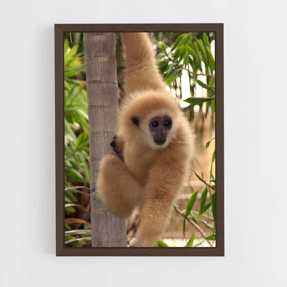 monkey-4 cadre Bois foncé