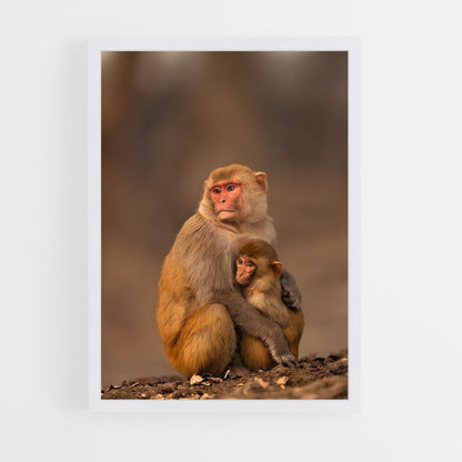 monkey-6 cadre Blanc