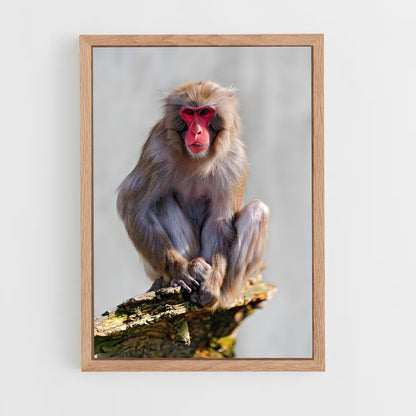 monkey-8 cadre Bois clair