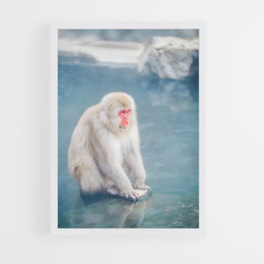 monkey-9 cadre Blanc