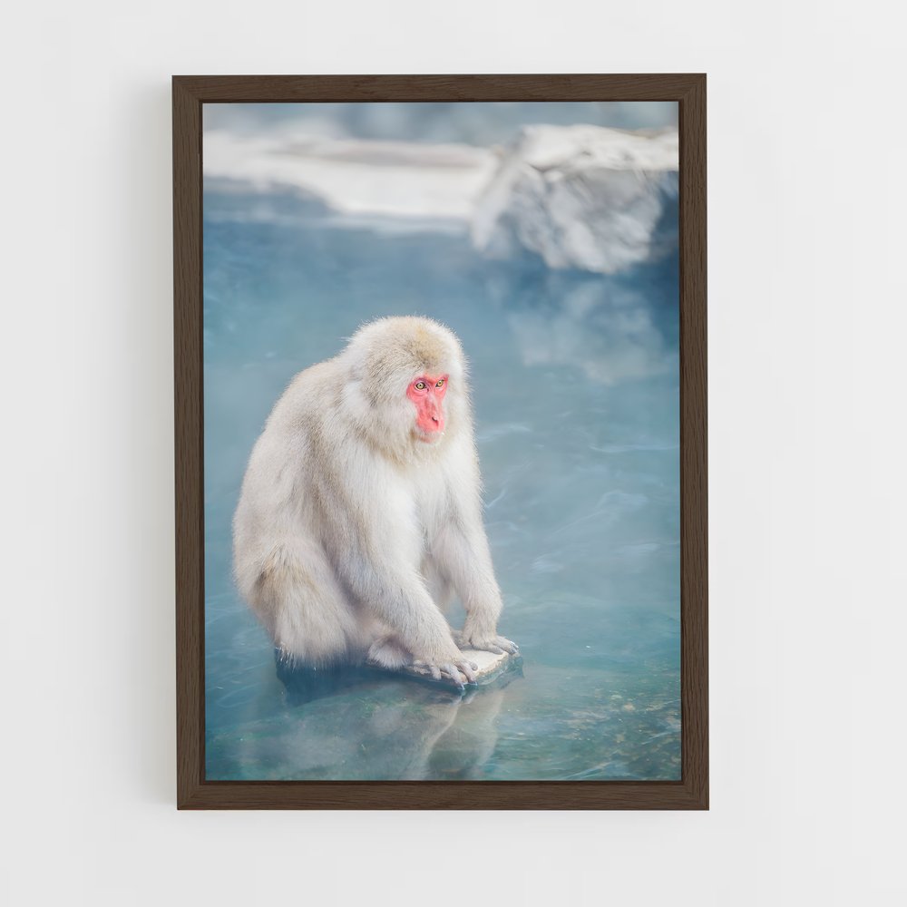 monkey-9 cadre Bois foncé