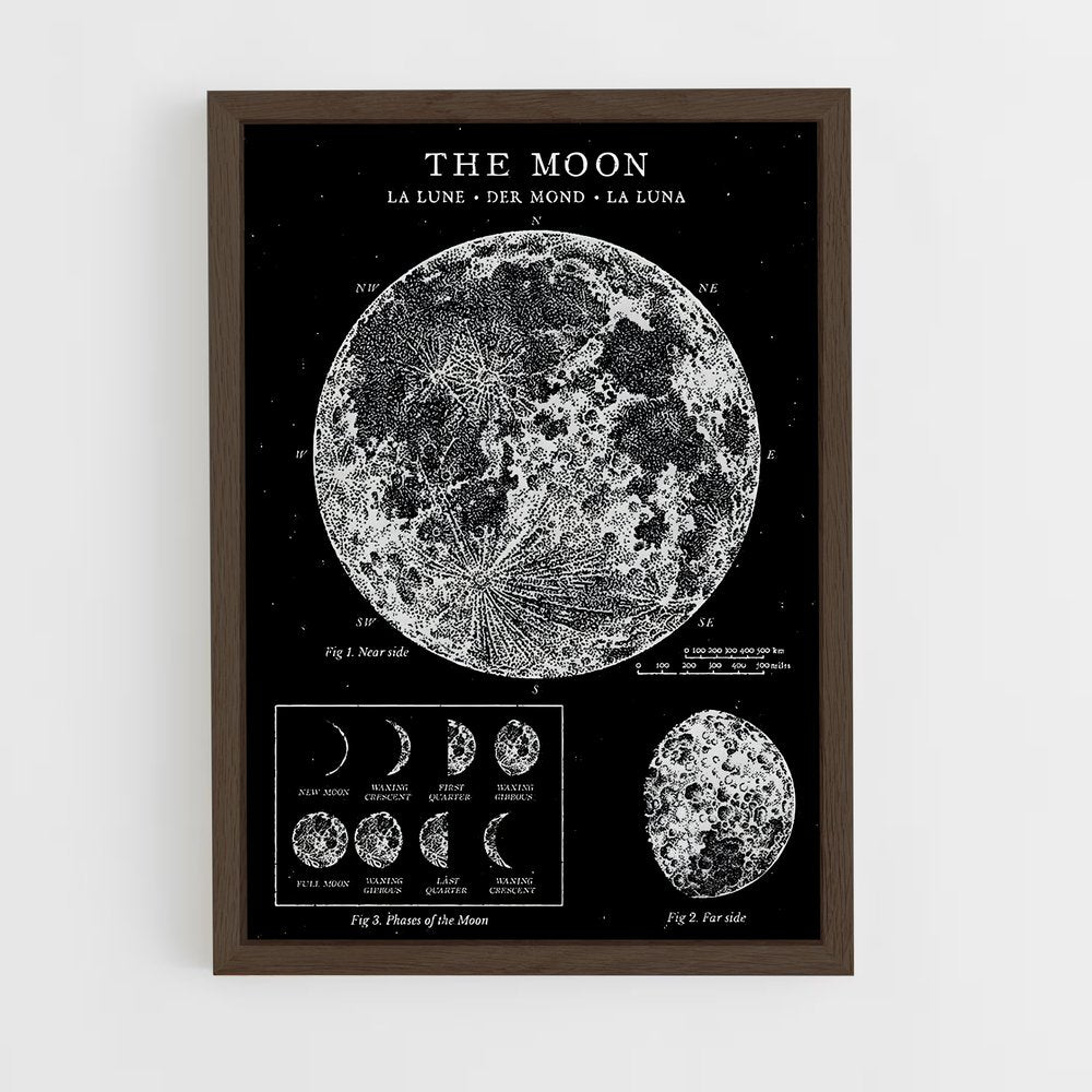 moon-5 cadre Bois foncé