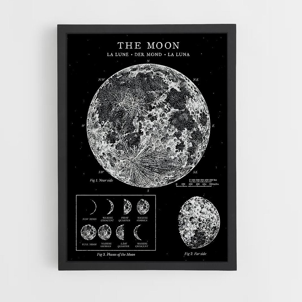 moon-5 cadre Noir