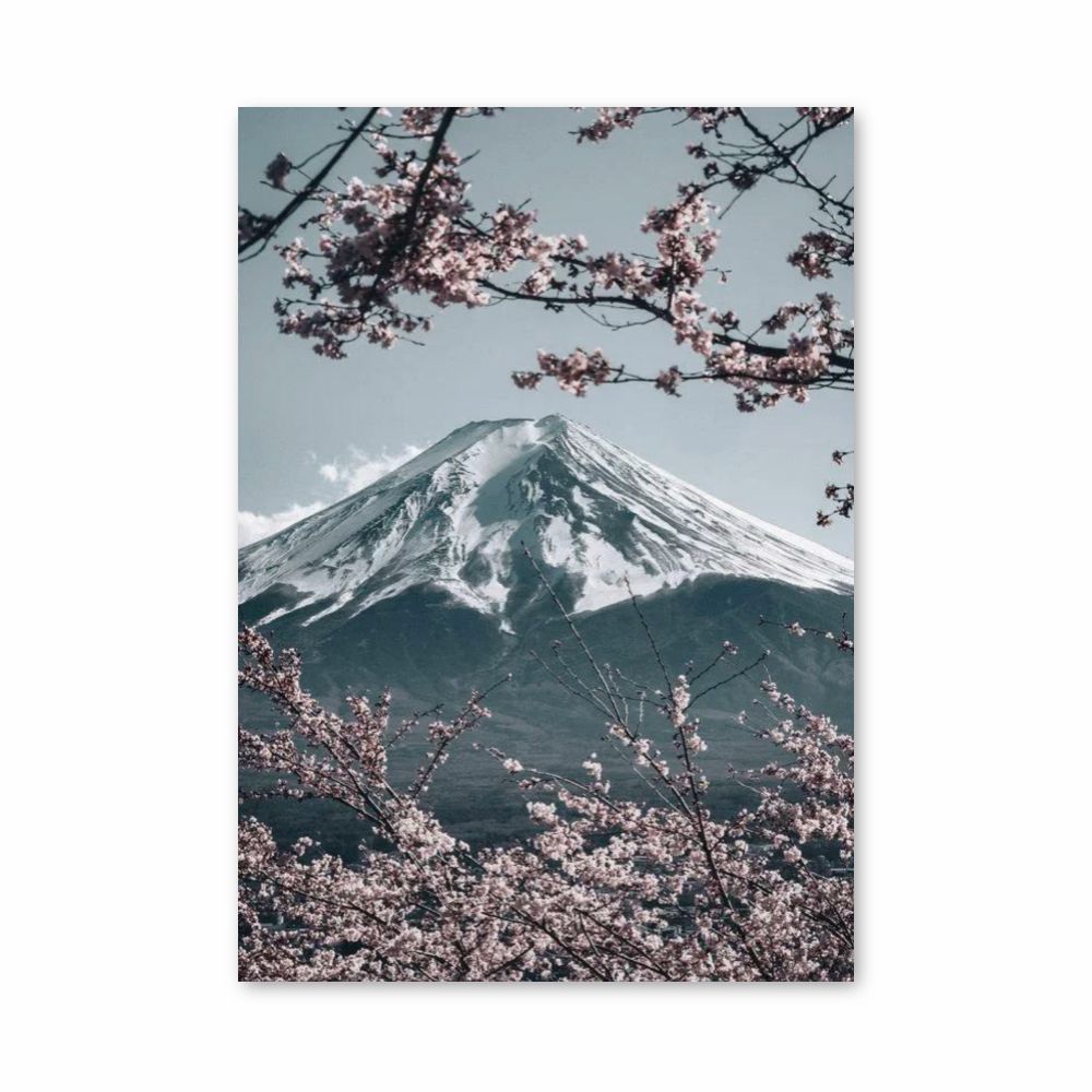 Manifesto del Monte Fuji