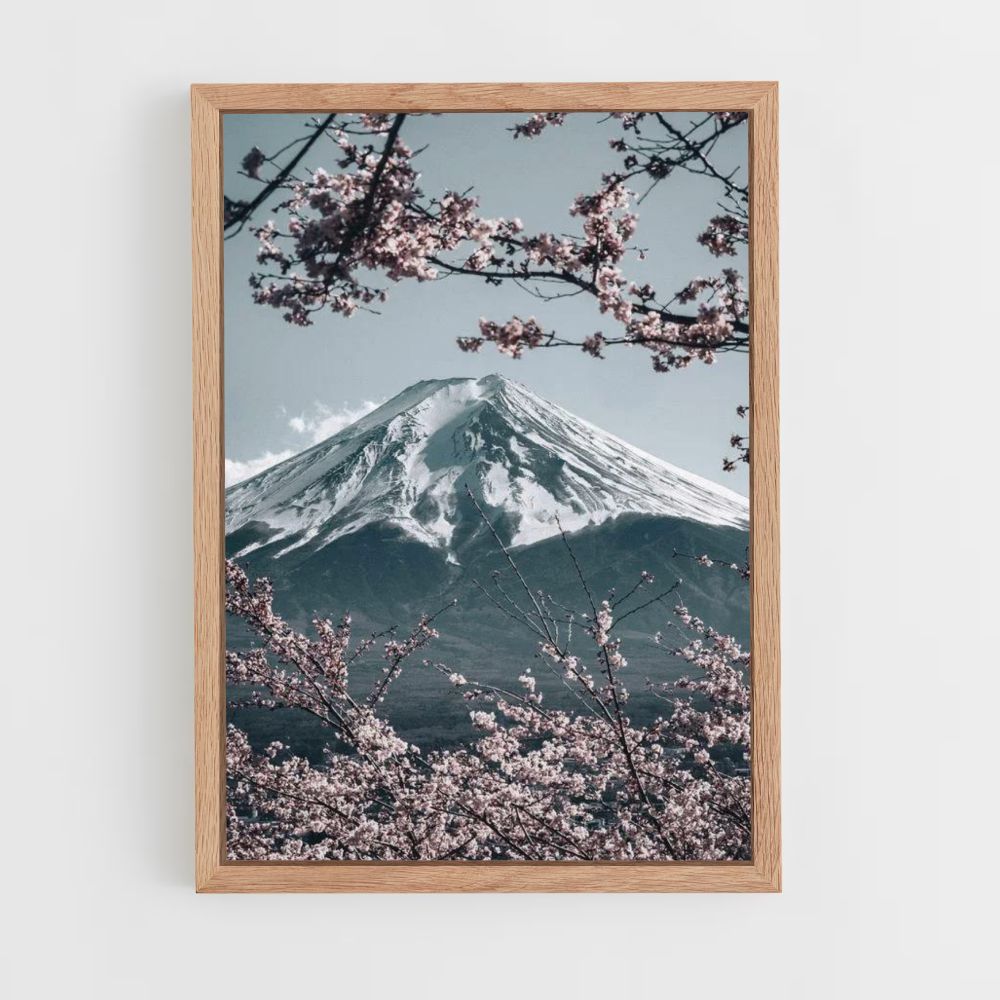 Manifesto del Monte Fuji