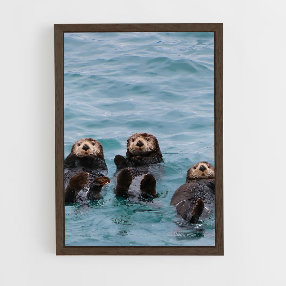 otter-1 cadre Bois foncé