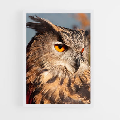 owl-4 cadre Blanc