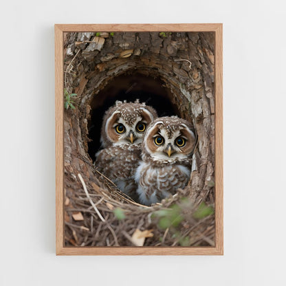 owl-8 cadre Bois clair