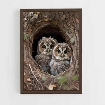 owl-8 cadre Bois foncé