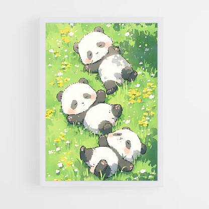 panda-7 cadre Blanc