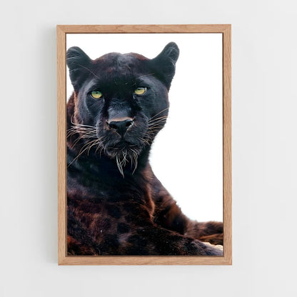 panther-4 cadre Bois clair