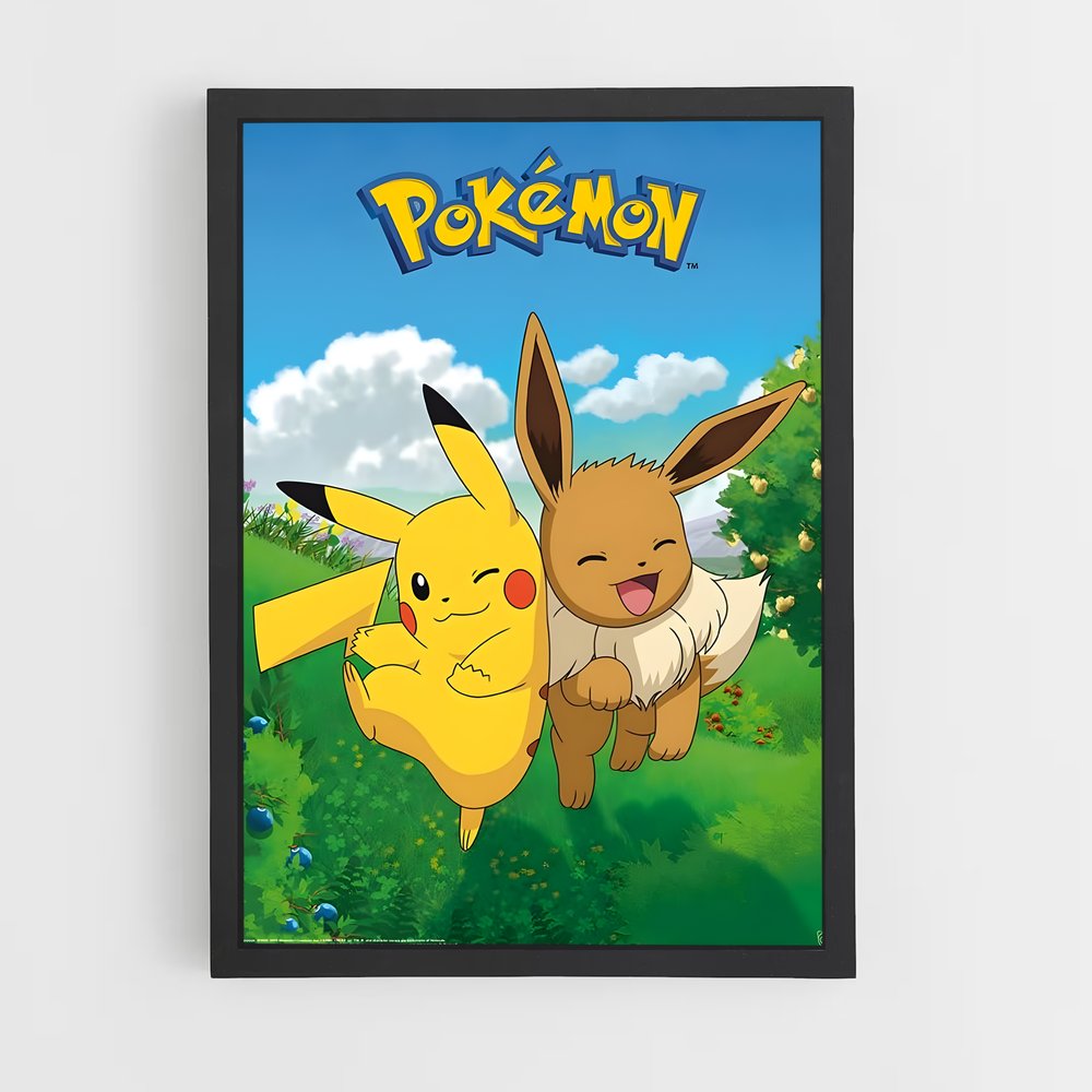 pokemon-3 cadre Noir