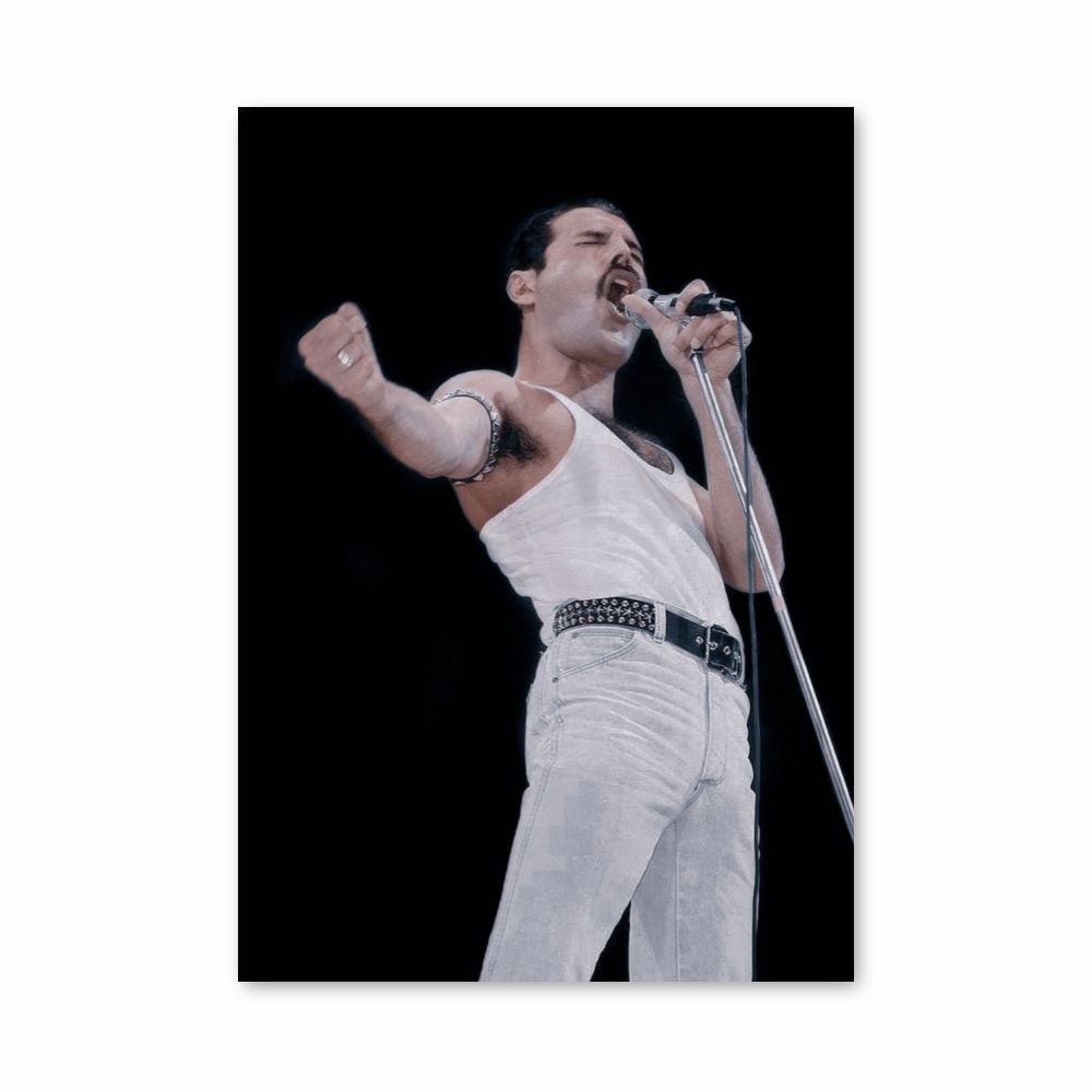 Poster Freddy Mercury canta