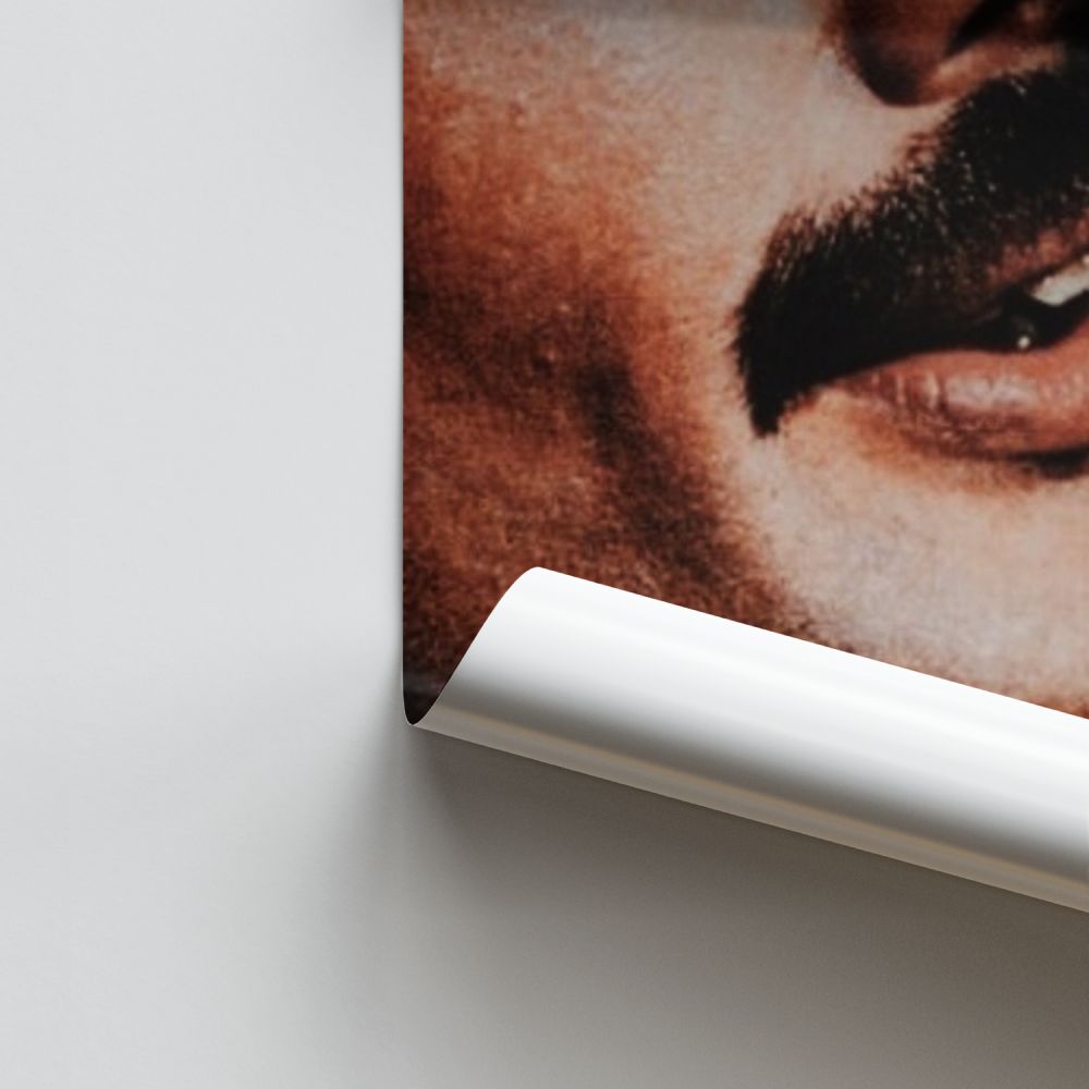 Poster La regina Freddy Mercury