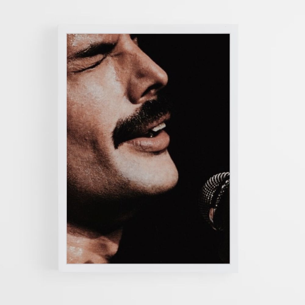 Poster La regina Freddy Mercury