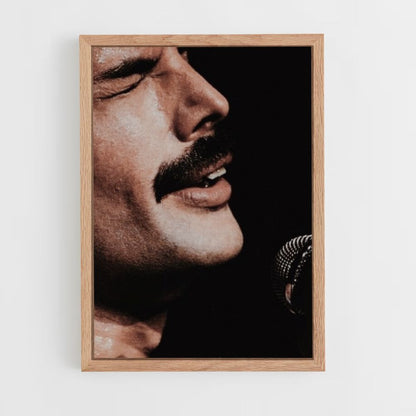 Poster La regina Freddy Mercury