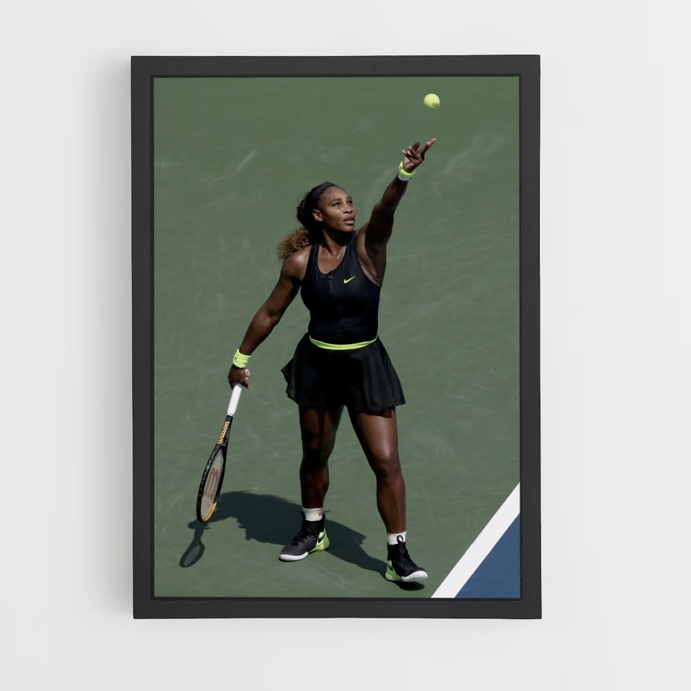 Poster Pallina da tennis Williams