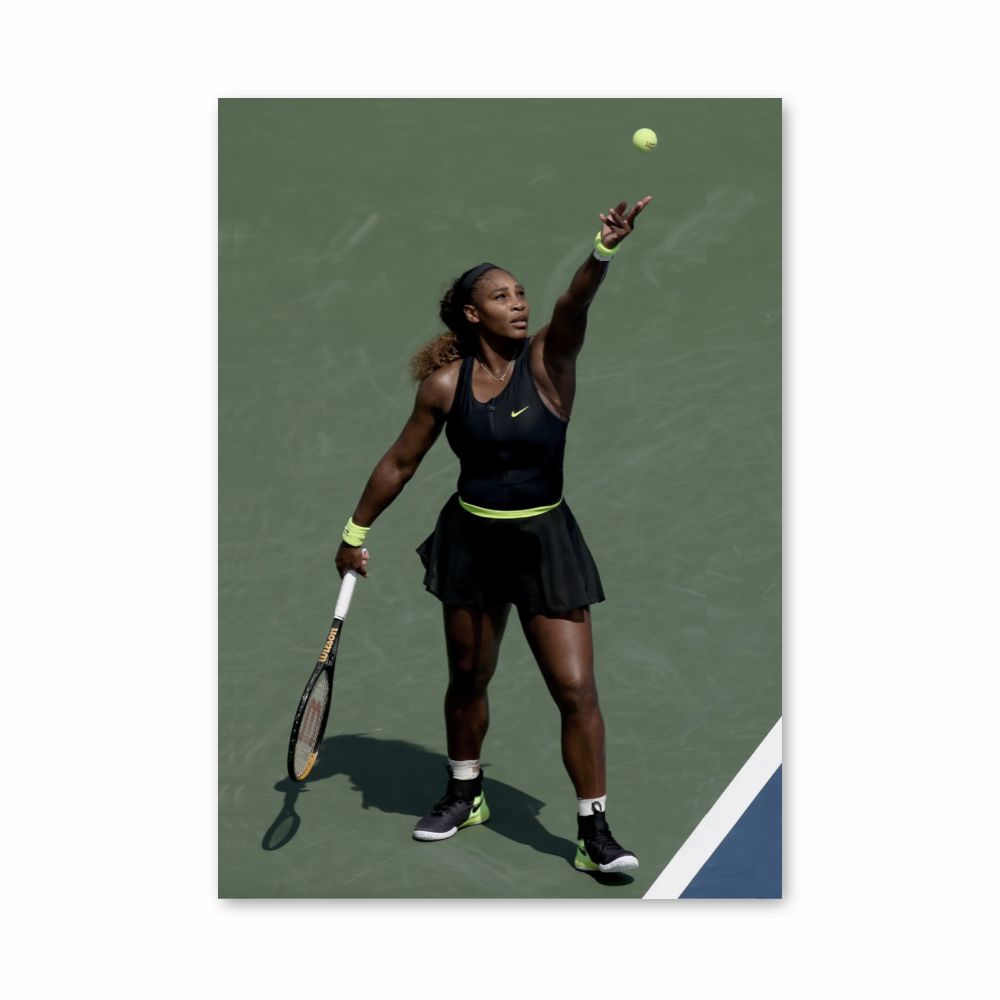 Poster Pallina da tennis Williams