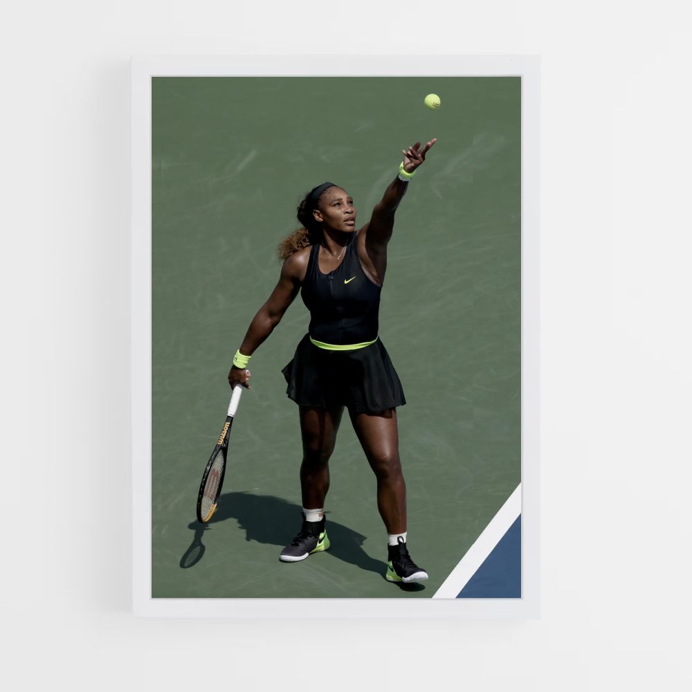 Poster Pallina da tennis Williams