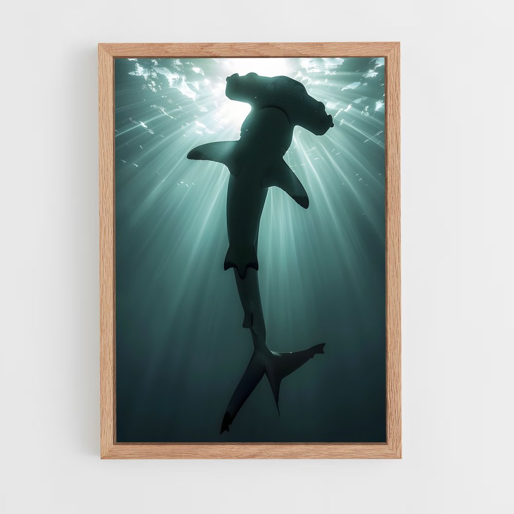 shark-9 cadre Bois clair
