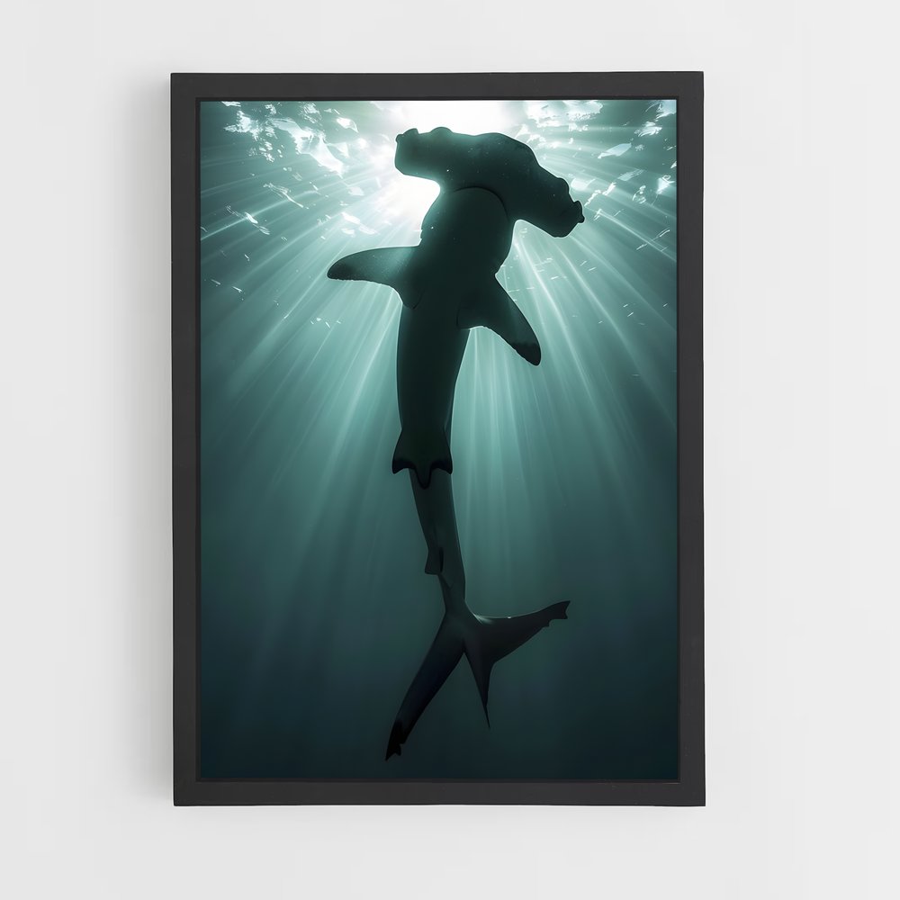 shark-9 cadre Noir
