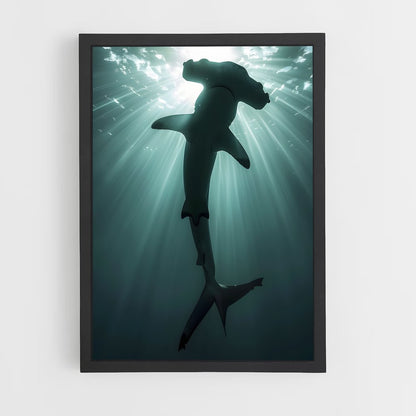 shark-9 cadre Noir