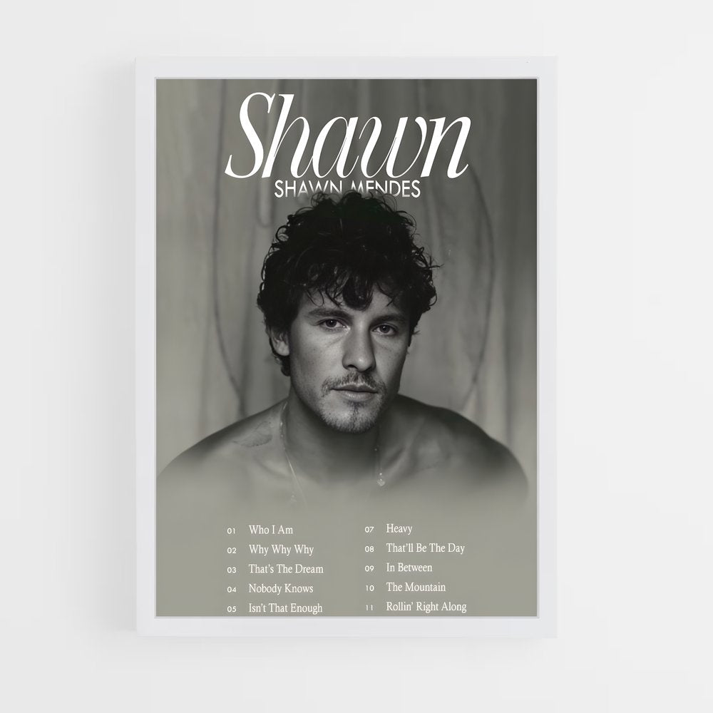 shawn-mendes-1 cadre Blanc