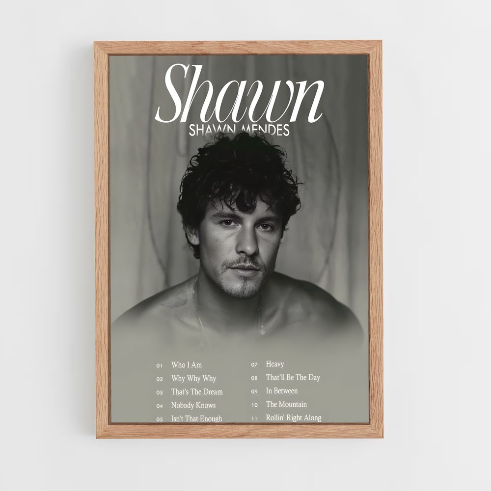 shawn-mendes-1 cadre Bois clair