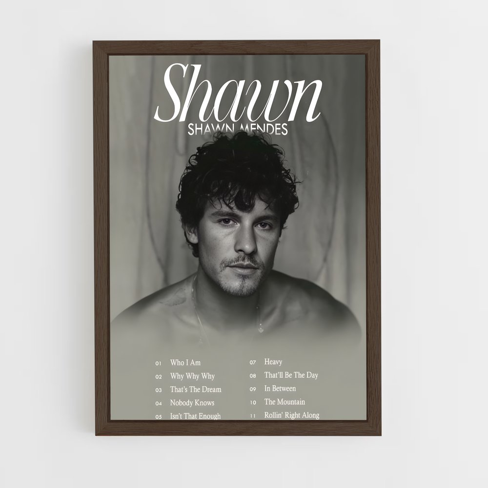 shawn-mendes-1 cadre Bois foncé