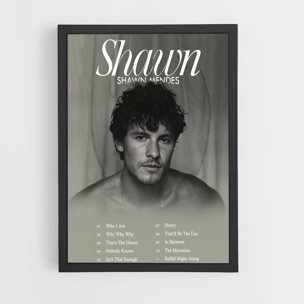 shawn-mendes-1 cadre Noir