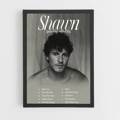 shawn-mendes-1 cadre Noir
