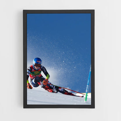 ski-9 cadre Noir