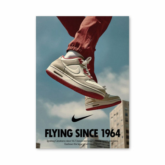 Poster Volo Nike