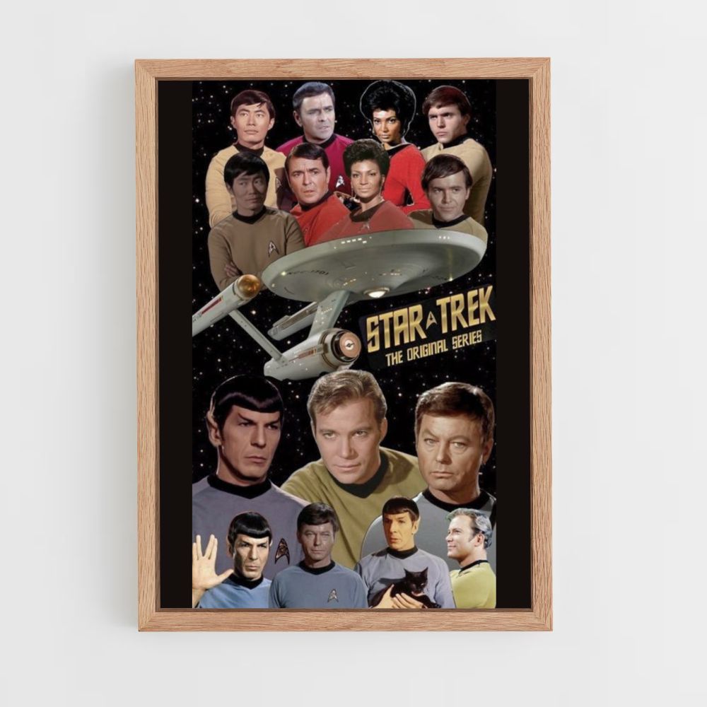 Locandina vintage di Star Trek