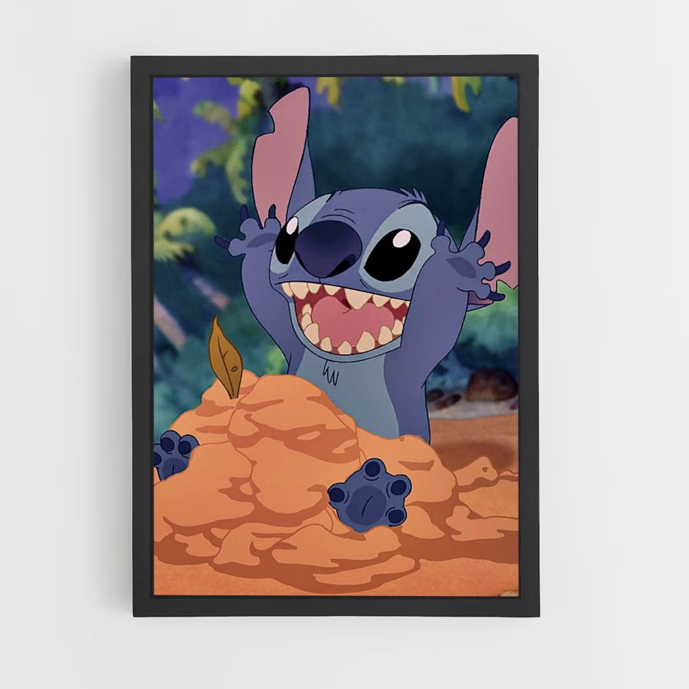 Poster Stitch felice