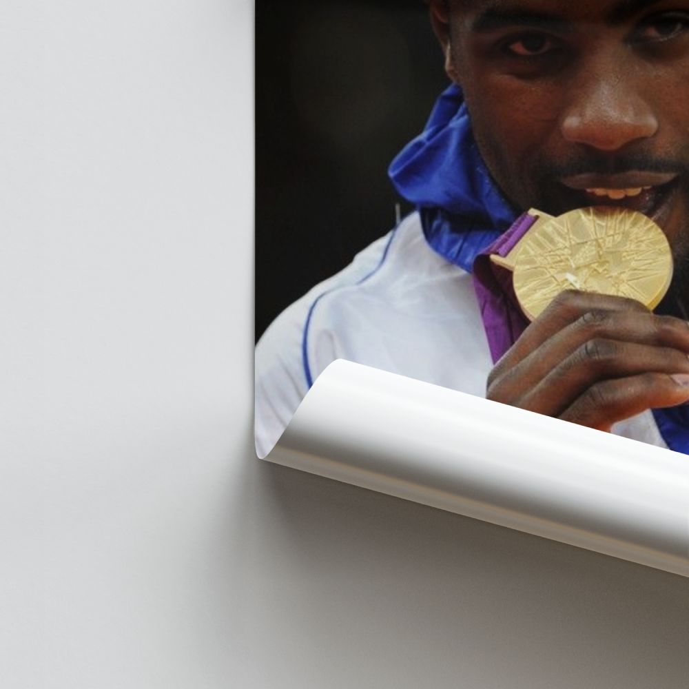 Poster Medaglia Teddy Riner